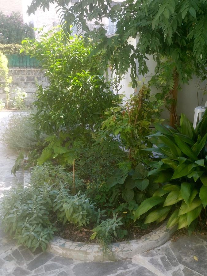 Le Clos Chez Michel Montpellier Exterior foto